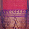 Gadwal Pattu Sarees 